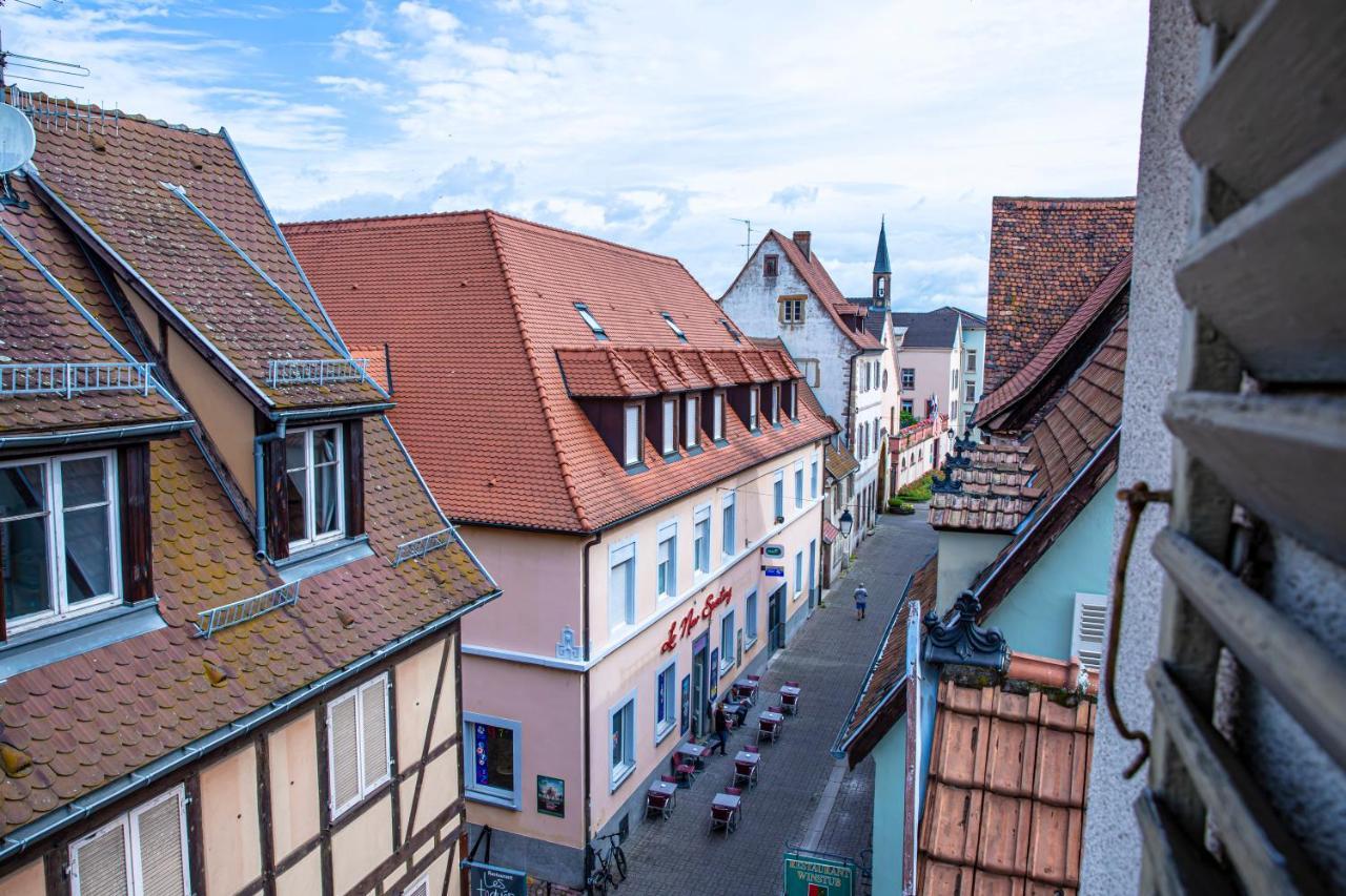 Apartmán Le Rapp - Centre Historique - Wifi - Tout Confort Colmar Exteriér fotografie