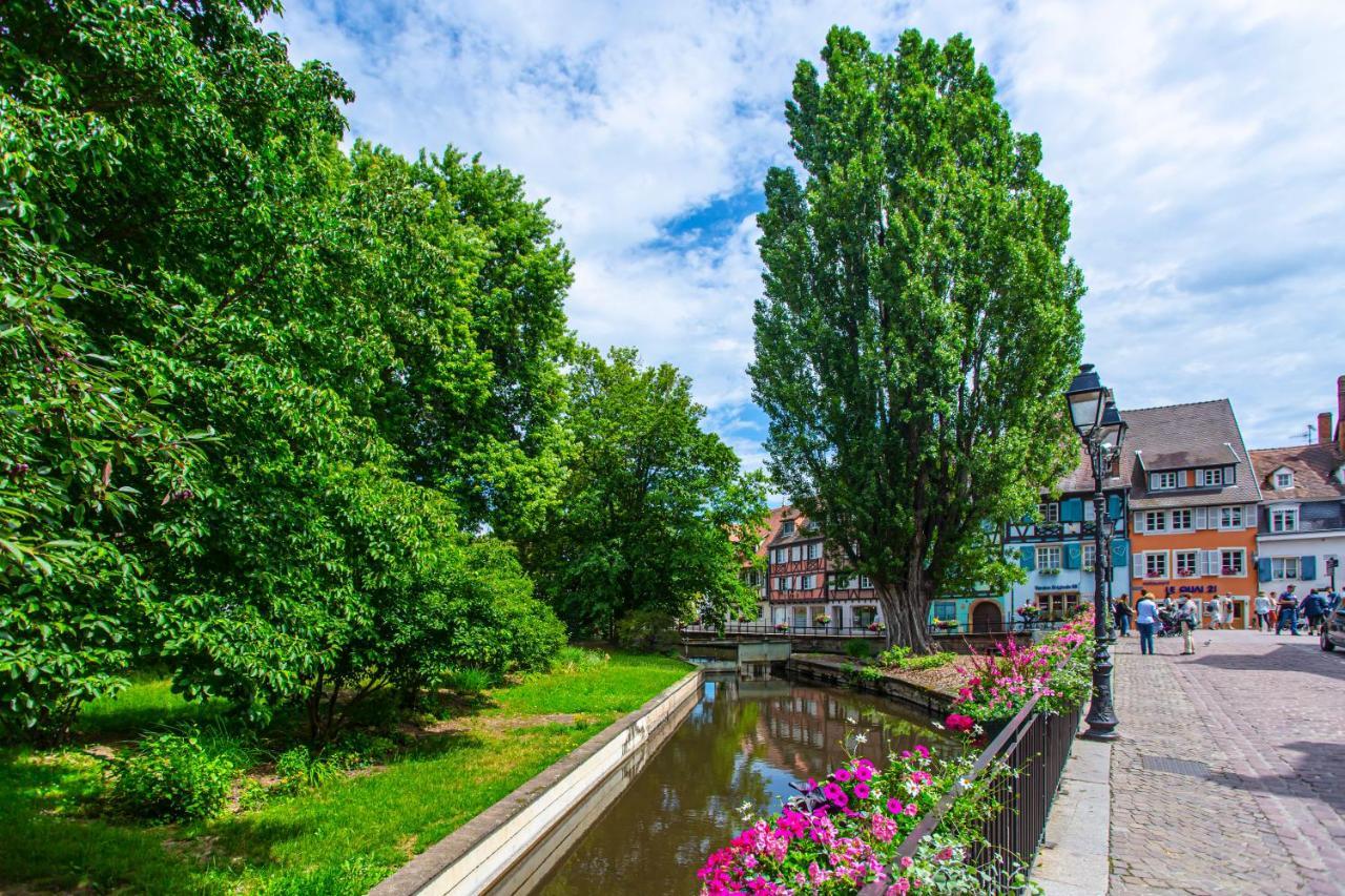 Apartmán Le Rapp - Centre Historique - Wifi - Tout Confort Colmar Exteriér fotografie